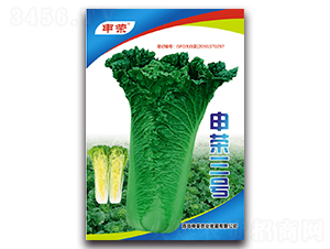 ��s��̖(h��o)-��ײ˷N��-��s�r(n��ng)�I(y��)