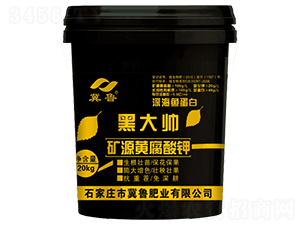 �VԴ�S�����-�ڴ�-����