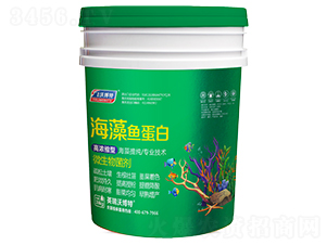 �����~���ף�ͨ���ͣ�-Ӣ���ֲ���