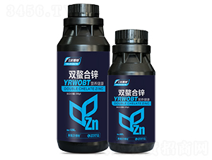 �p�����\-Ӣ���ֲ���