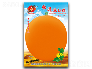 ���t��-��ϷN��-��Դ�N�I(y��)