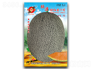 ���t��17̖-��ϷN��-��Դ�N�I(y��)