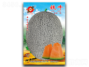 �Fţ-��ϷN��-��Դ�N�I(y��)