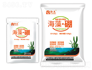 ���塤��-�պ�-����Ԫ��