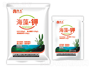 ���塤�-�պ�-����Ԫ��