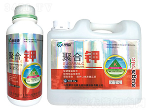 �ۺ��-�|�p�A-����Ԫ��