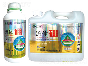 ���w��-�|�p�A-����Ԫ��