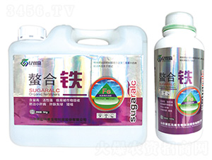 �����F-�|�p�A-����Ԫ��