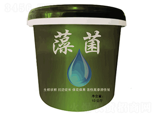 ���-�Sʢ-���ő�