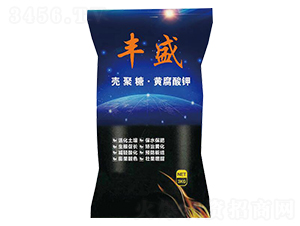 �����ǡ��S�����-�Sʢ-���ő�