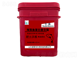 �����~���׏ͺϾ�-�Sʢ-���ő�