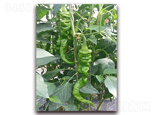 ����402-�����N��-�����