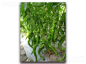 ����404-�����N��-�����