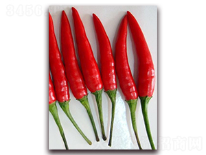 �G�t103-�����N��-�����