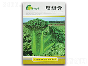 ���G��-�ײ˷N��-�����