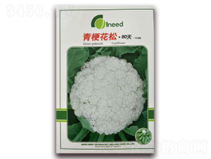 �������90��-�ɻ��˷N��-�����