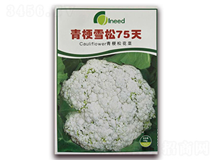 �๣ѩ��75��-�ɻ��˷N��-�����