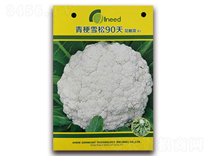 �๣ѩ��90�컨Ҭ��F1-��Ҭ�˷N��-�����