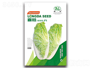 ϲ�����޲�F1-���޲˷N��-¡�_(d��)