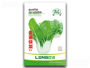 ���Ͽ��F1-��˷N��-¡�_(d��)