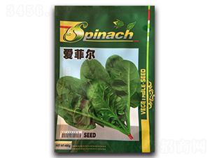 �۷Ơ�����-���˷N��-¡�_(d��)