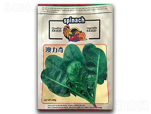 �����沤��-���˷N��-¡�_(d��)