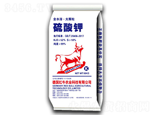 ���w�������-�����S