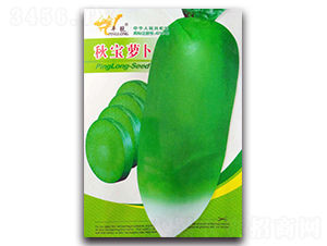 ƽ����}��-�}���N��-ƽ���N�I(y��)