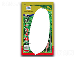 �\(ch��ng)��ʮ����-�}���N��-�\(ch��ng)�ŷN�I(y��)