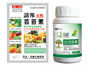 �|̦��-������