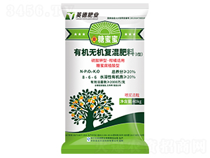 �����m���ЙC(j��)�o�C(j��)��(f��)�����8-6-6-������-���R���r(n��ng)�I(y��)