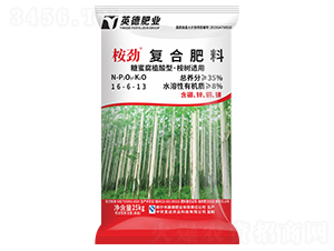 ����m�ÏͺϷ���16-6-13-���-���R���r�I(y��)