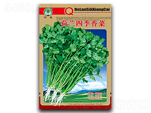 ���m�ļ����-��˷N��-��ʢ�@