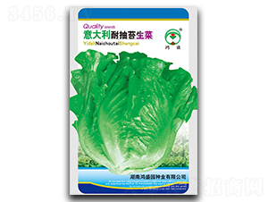 ������ͳ�̦����-���˷N��-��ʢ�@