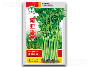 �ρ�����-�۲˷N��-��ʢ�@