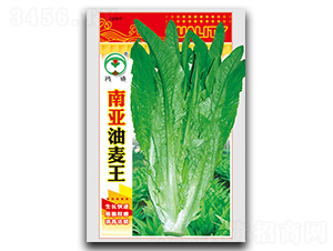 �ρ�������-�����˷N��-��ʢ�@