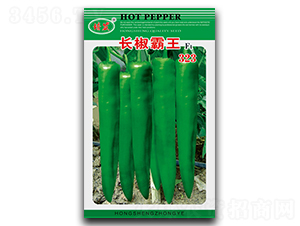 �L������323-�����N��-��ʢ�@