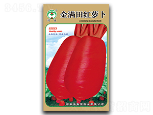 ��M(m��n)��t�}��-�}���N��-��ʢ�@