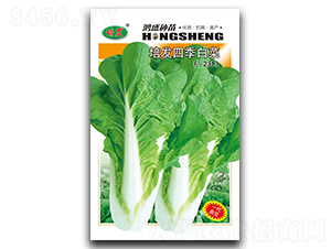 ��l(f��)�ļ�-�ײ˷N��-��ʢ�@