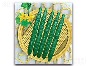 �½�13̖-�S�ϷN��-�����o�N��