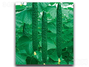 S1882-�S�ϷN��-�����o�N��