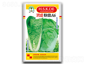 ���A6-�ײ˷N��-��ʢ�@