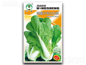 ��ʢ��̖-�ײ˷N��-��ʢ�@