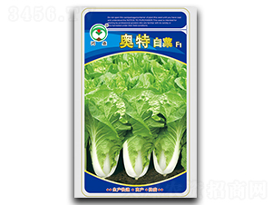 �W��-�ײ˷N��-��ʢ�@