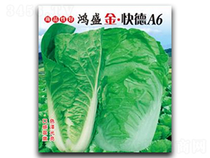 ��ʢ�𡤿��A6-�ײ˷N��-��ʢ�@