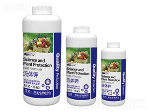 ���w�-������