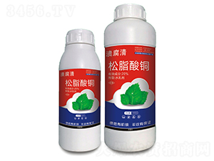 20%��֬���~-������-���I�r(n��ng)�I(y��)