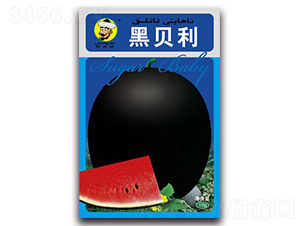 ��ؐ��-���ϷN��-�F(xi��n)���N�I(y��)