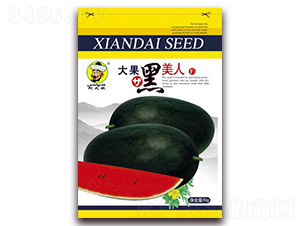 ���������-���ϷN��-�F(xi��n)���N�I(y��)