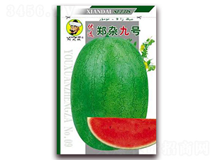 ���s��̖-���ϷN��-�F(xi��n)���N�I(y��)